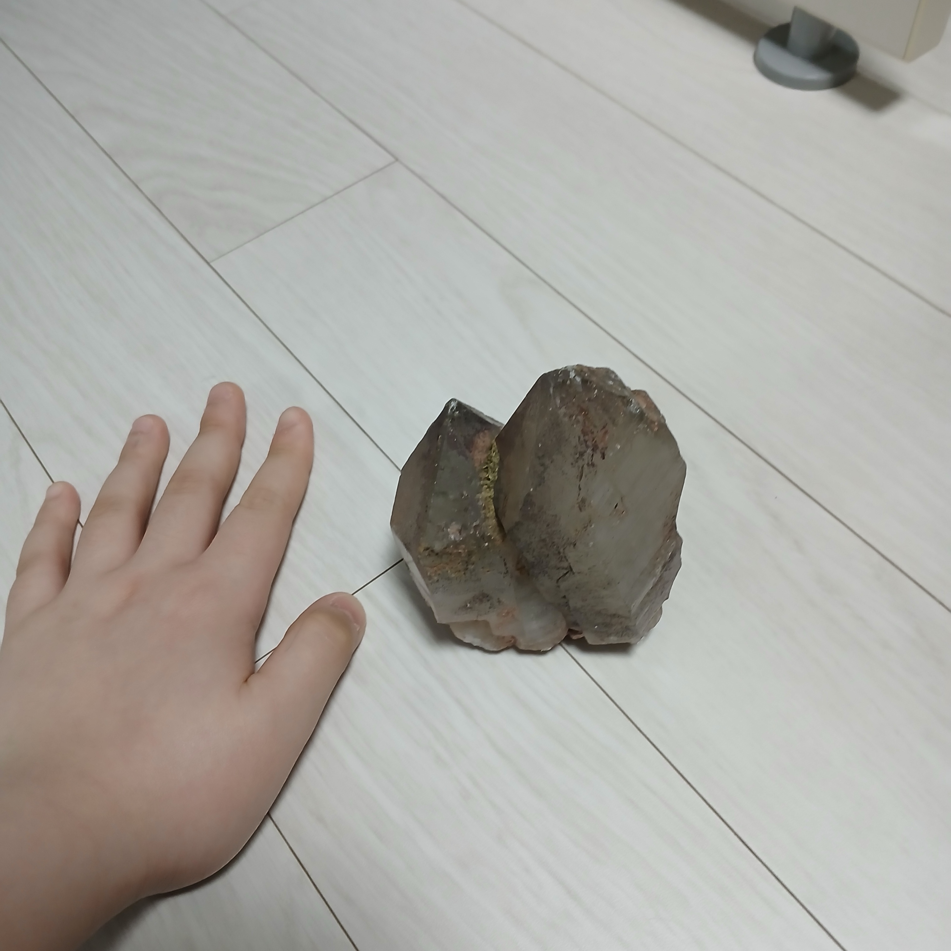 그냥 돌도리