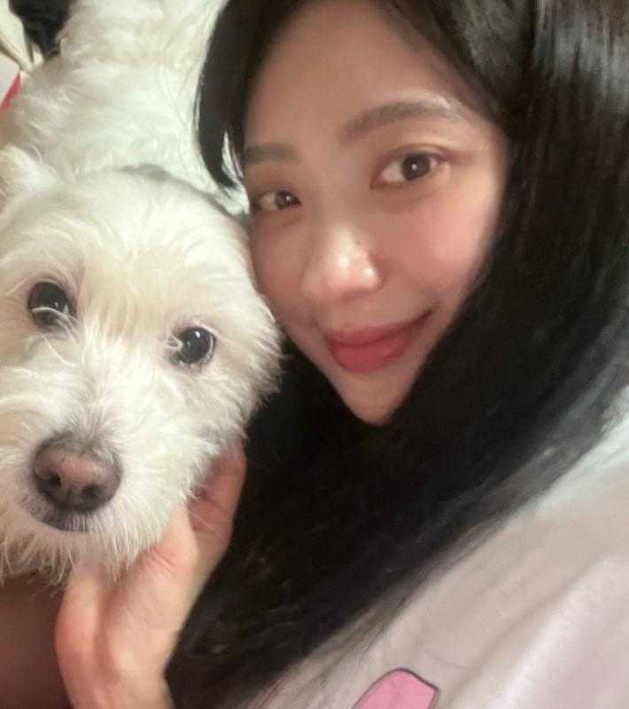 퓨화