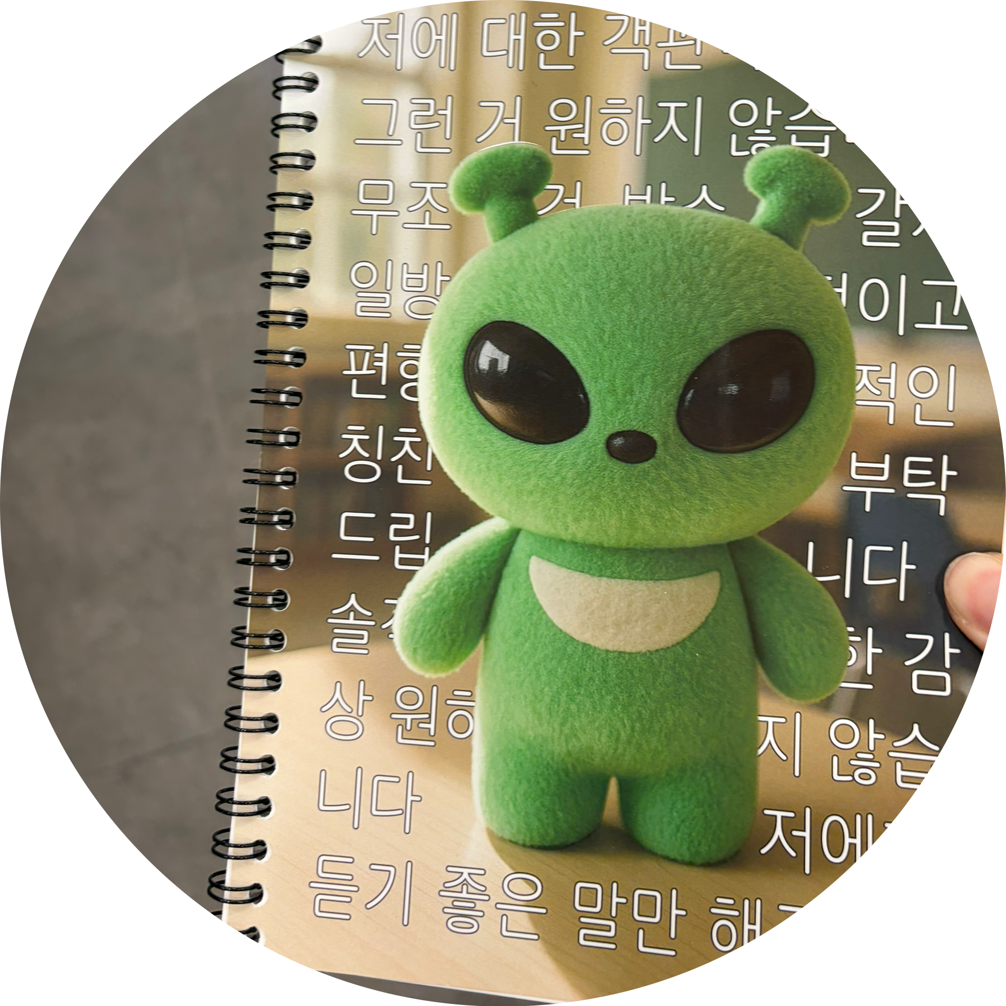 김아팔