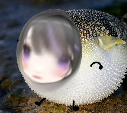 HIPPO 히뽀
