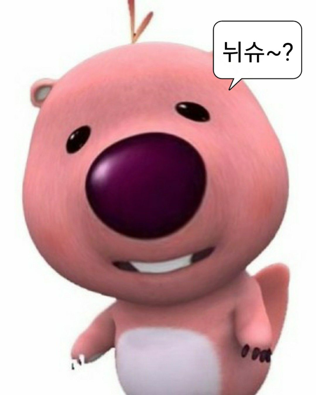 코 땩 찌