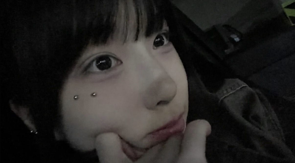 양바오666
