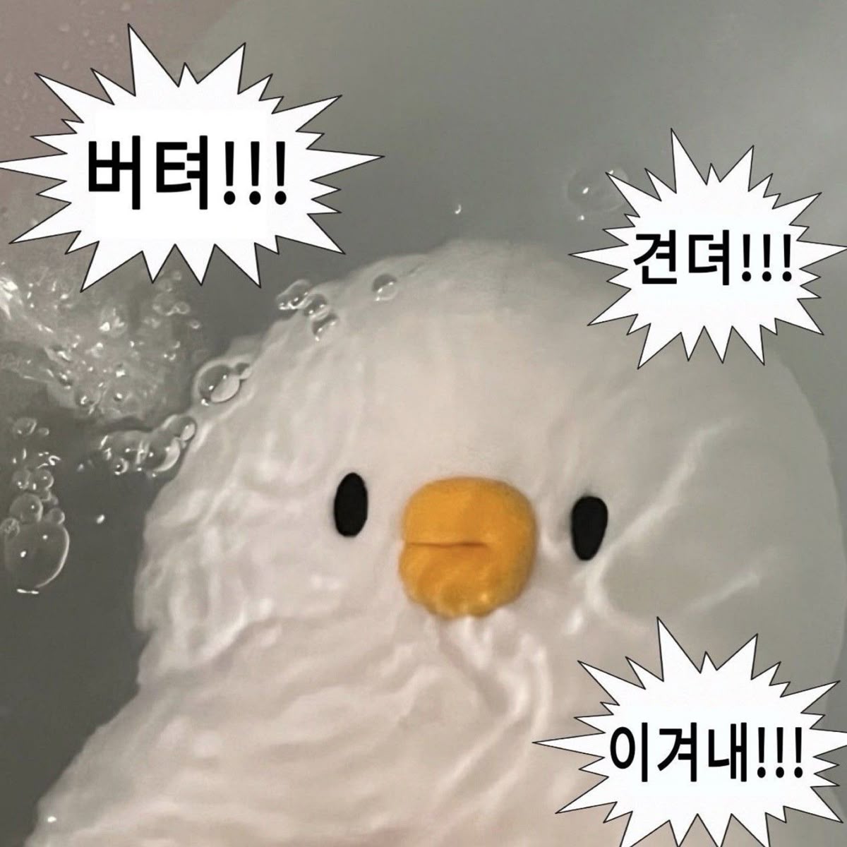 계약직알바생