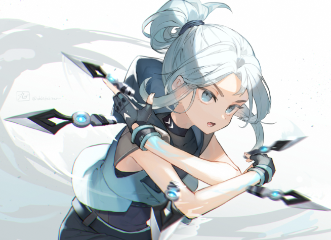 개떵이1