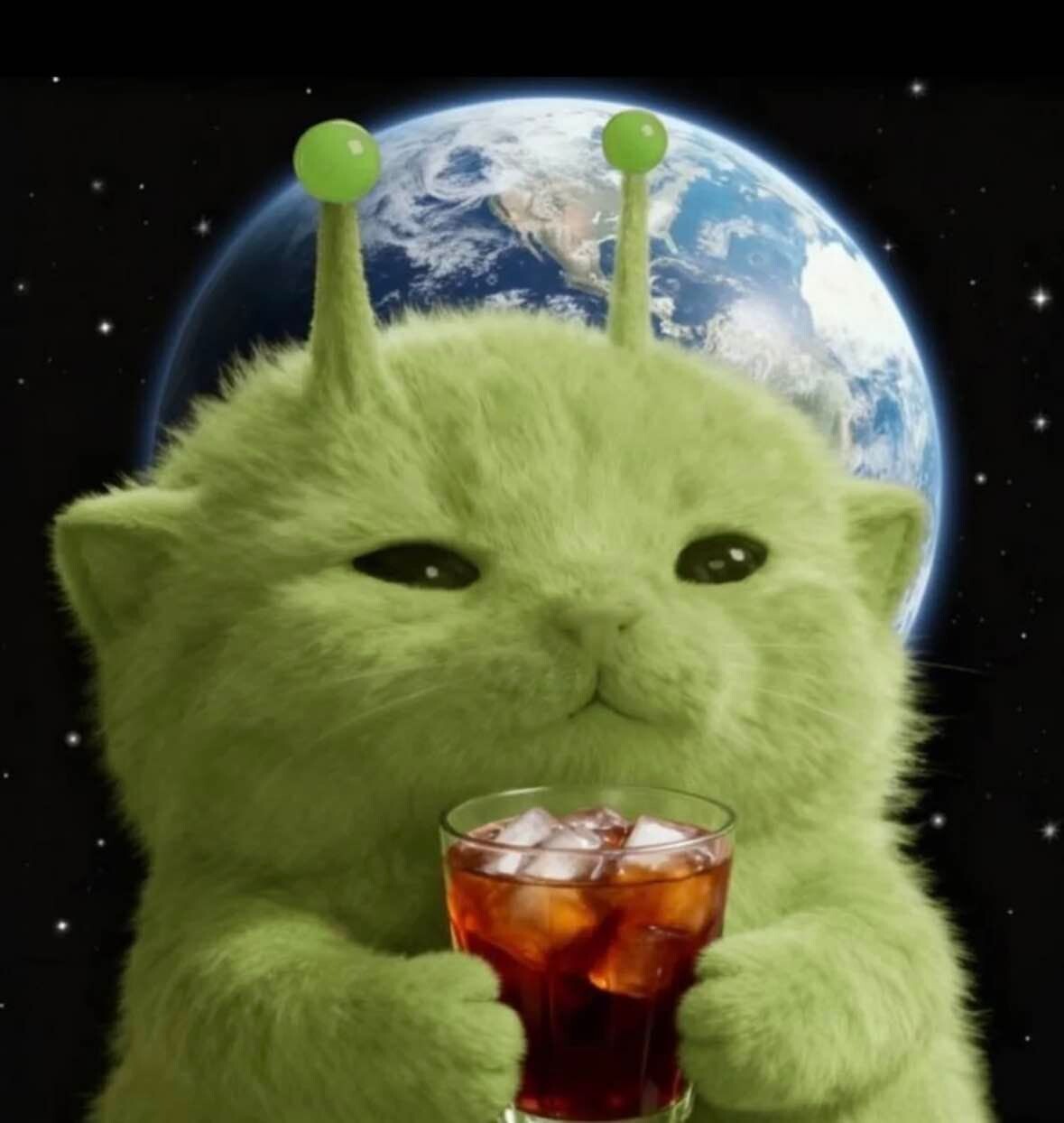 영크크크