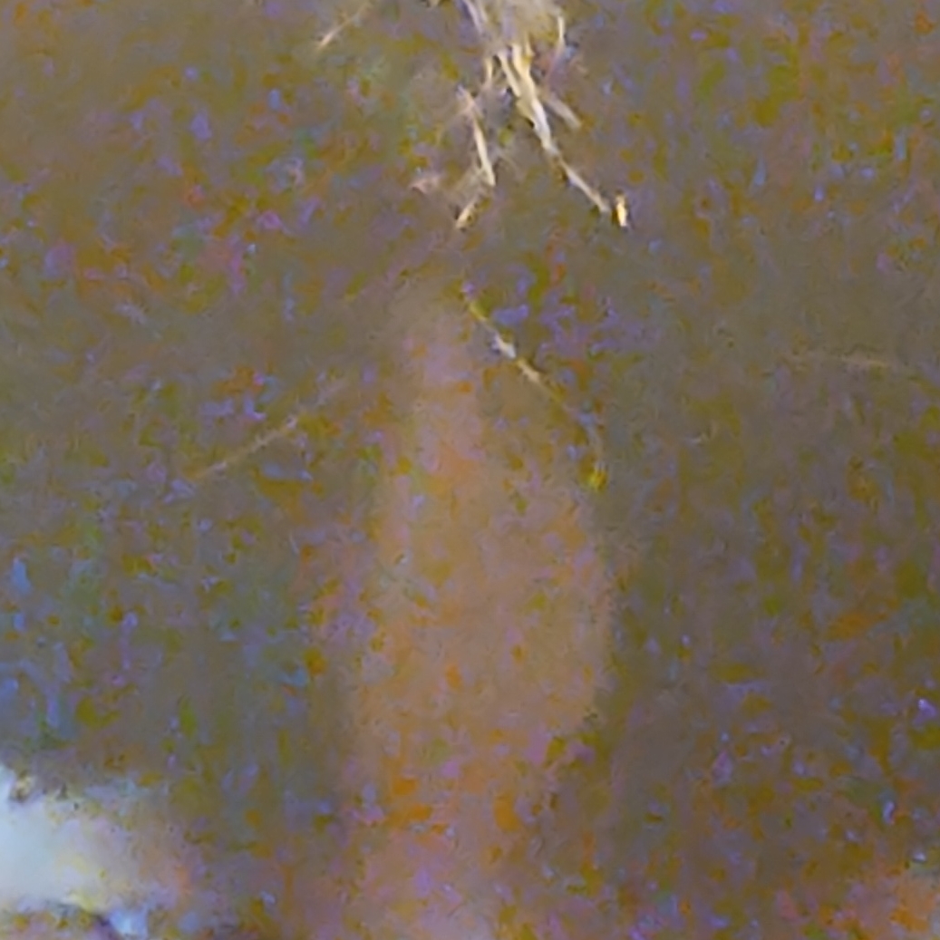 연경입니다