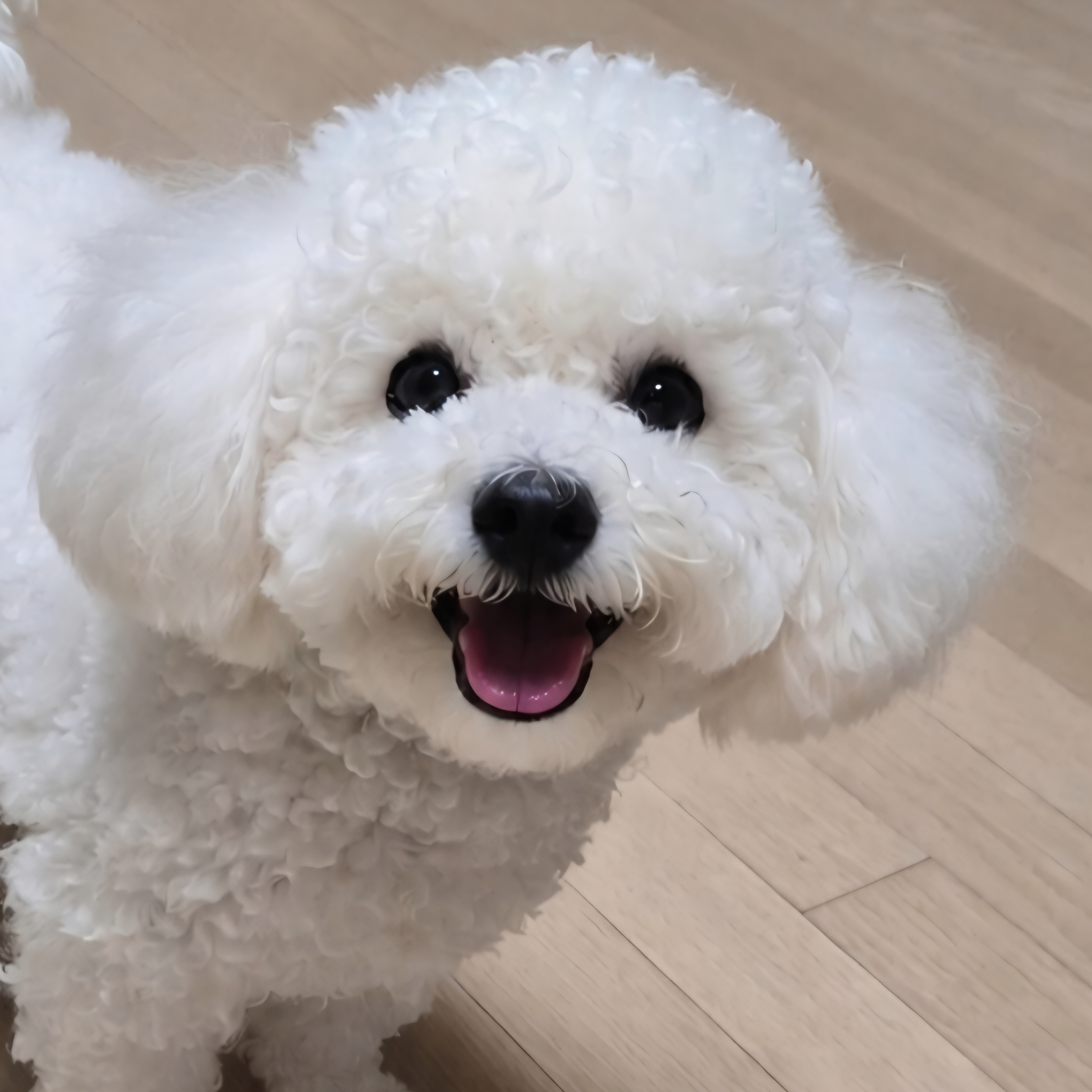 픽아