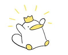 Noxi 녹시