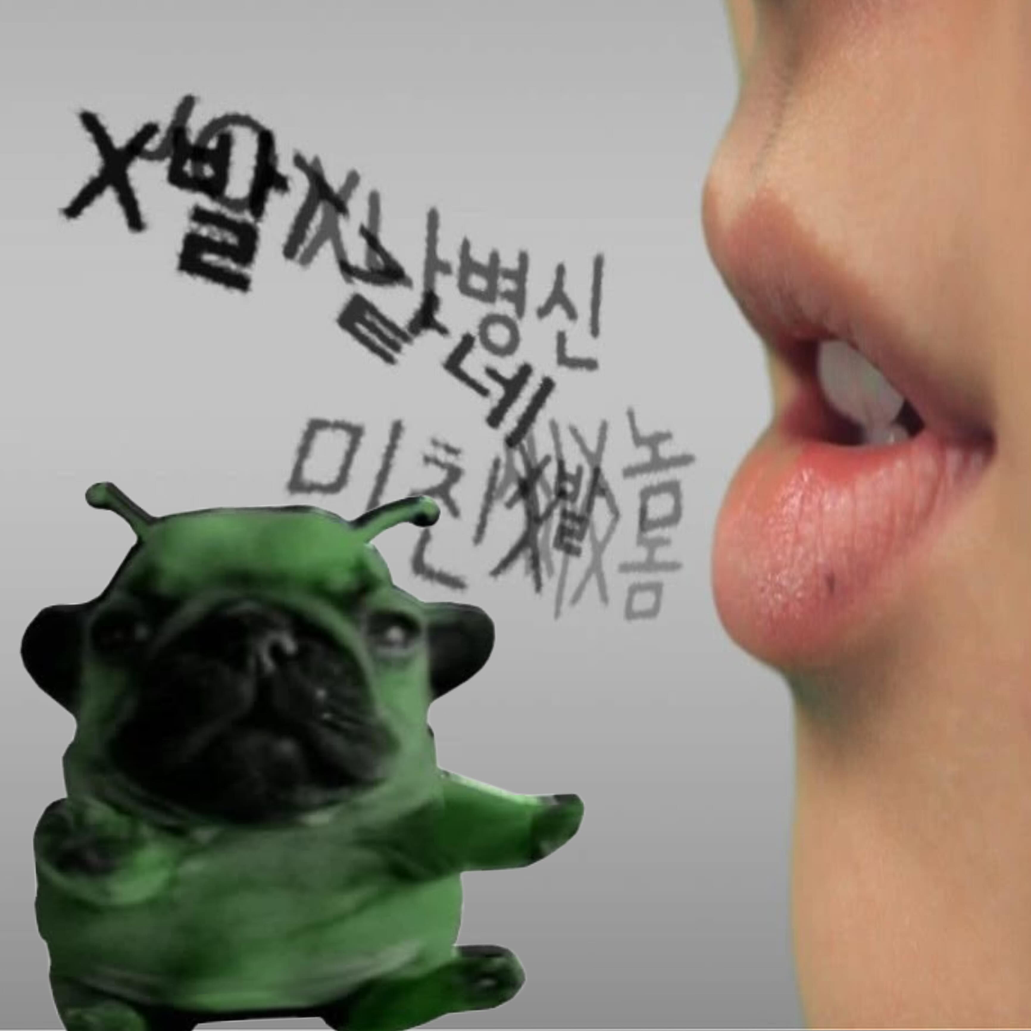 ontaedo