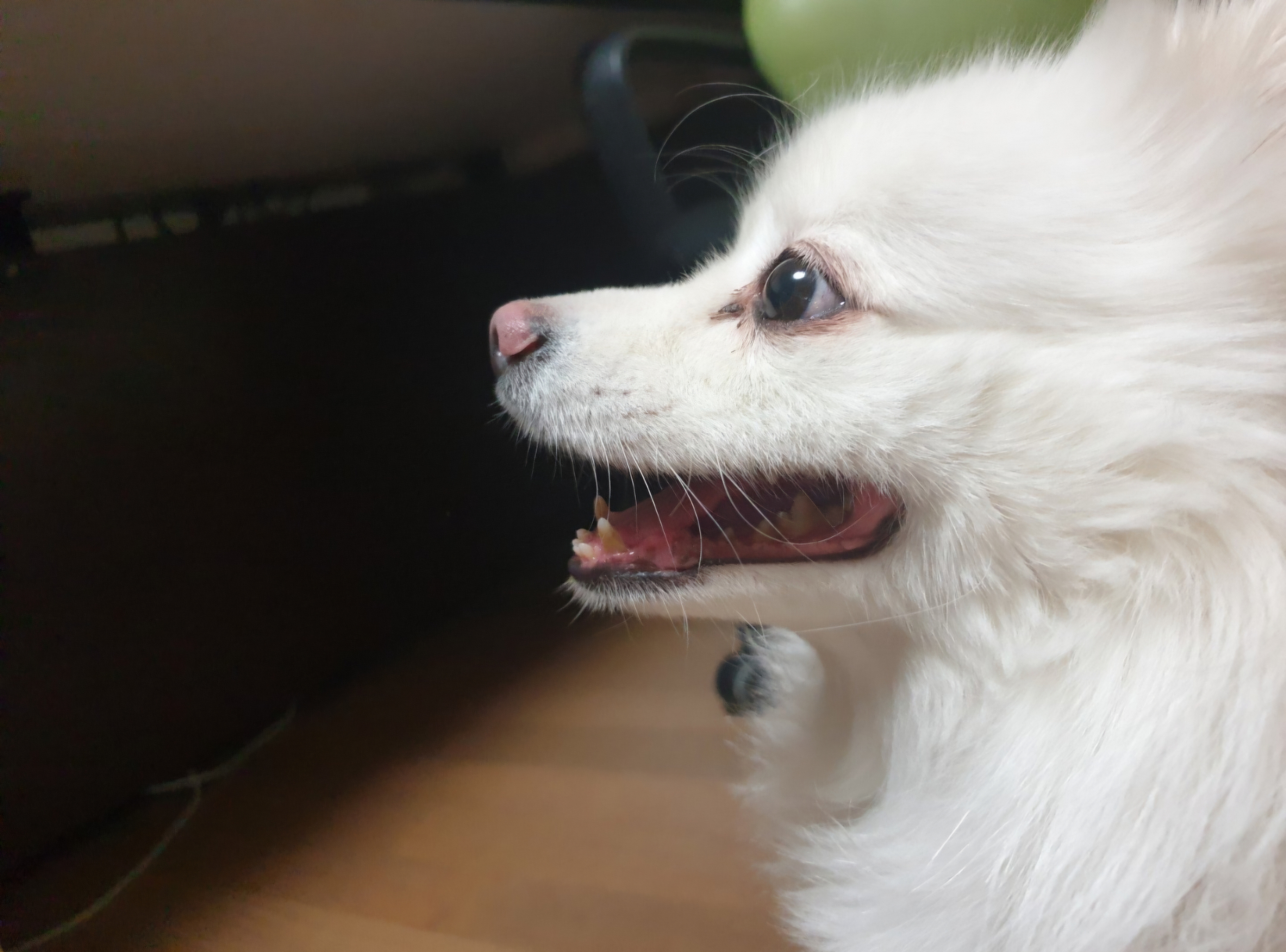 숟길동