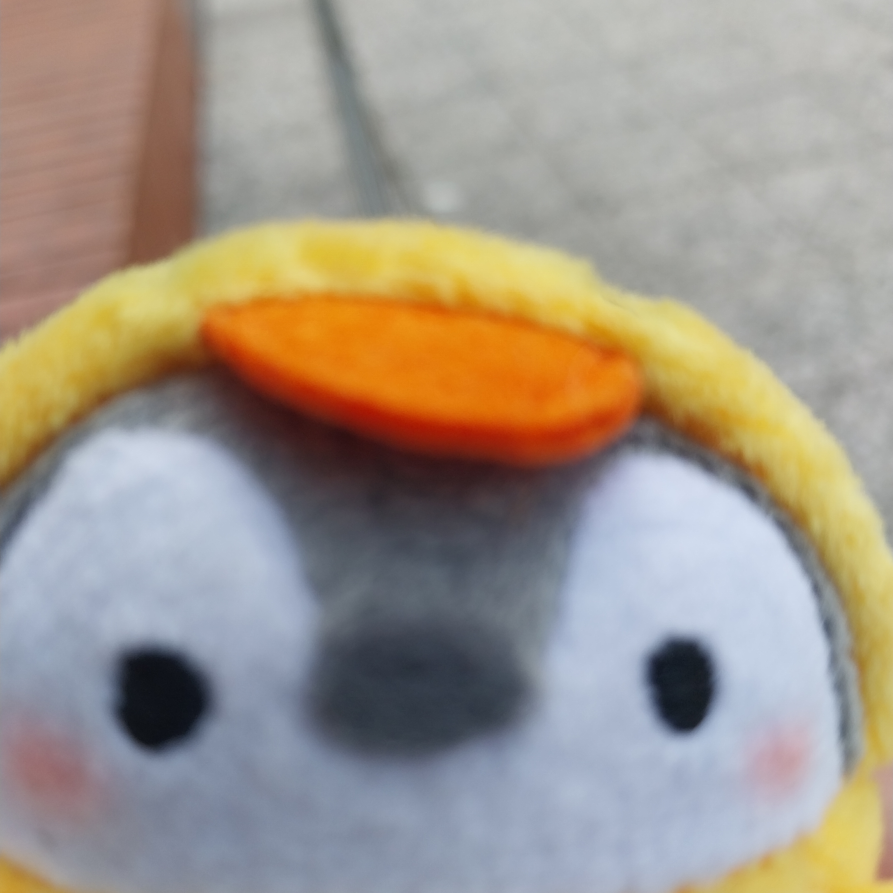 꽥쾍