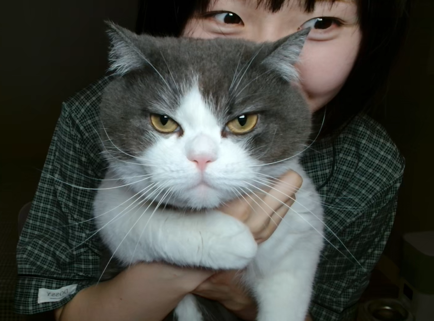 고집불통 백민서
