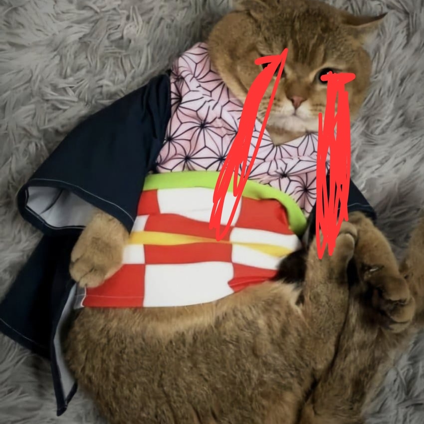 버섯개