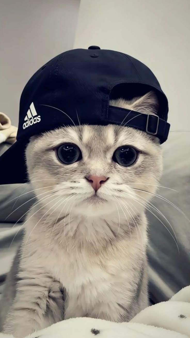 오잉입니다5
