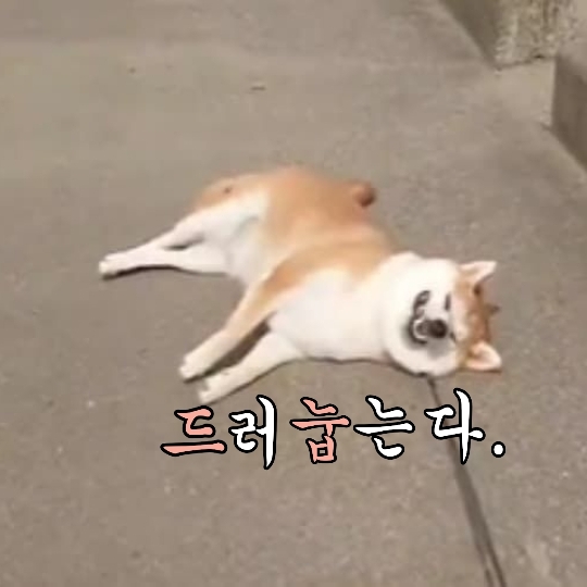 드눕