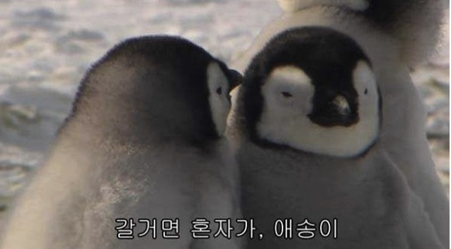함무입니다