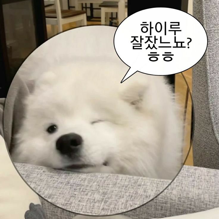 로메냥