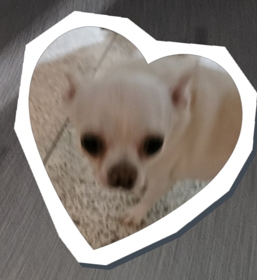 시러시러핑