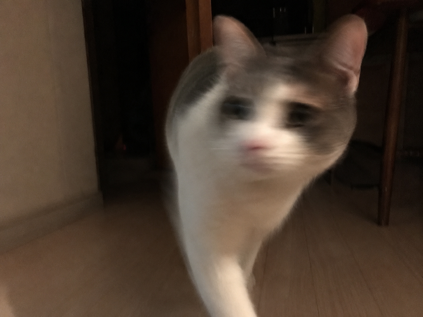 꾸 웽