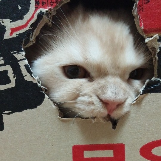 모두잠든후에