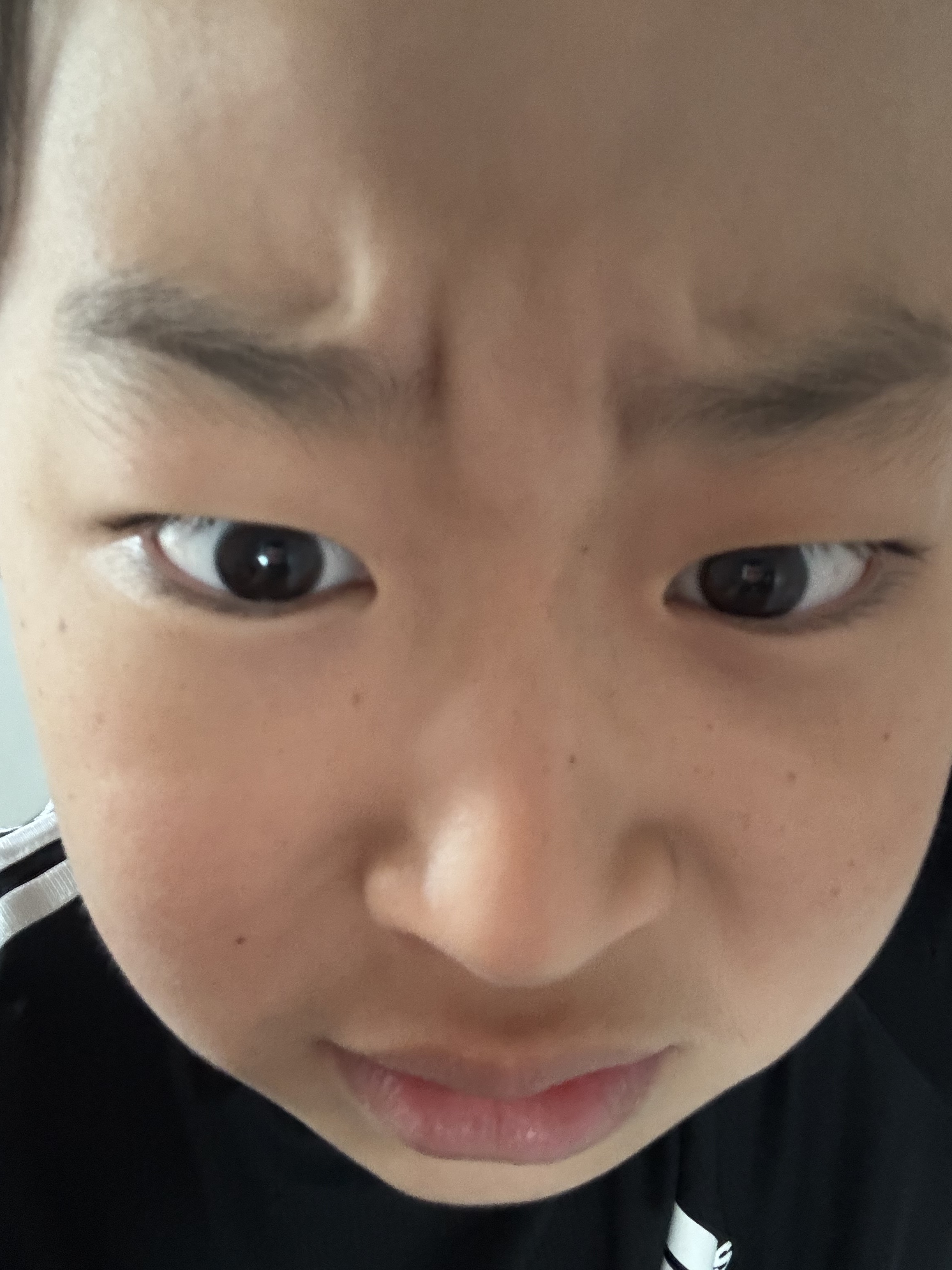 진라선