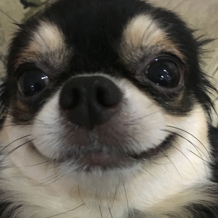 유와와와왁