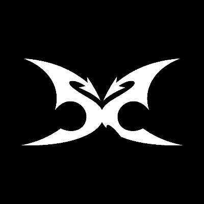 SKINZ 스킨즈