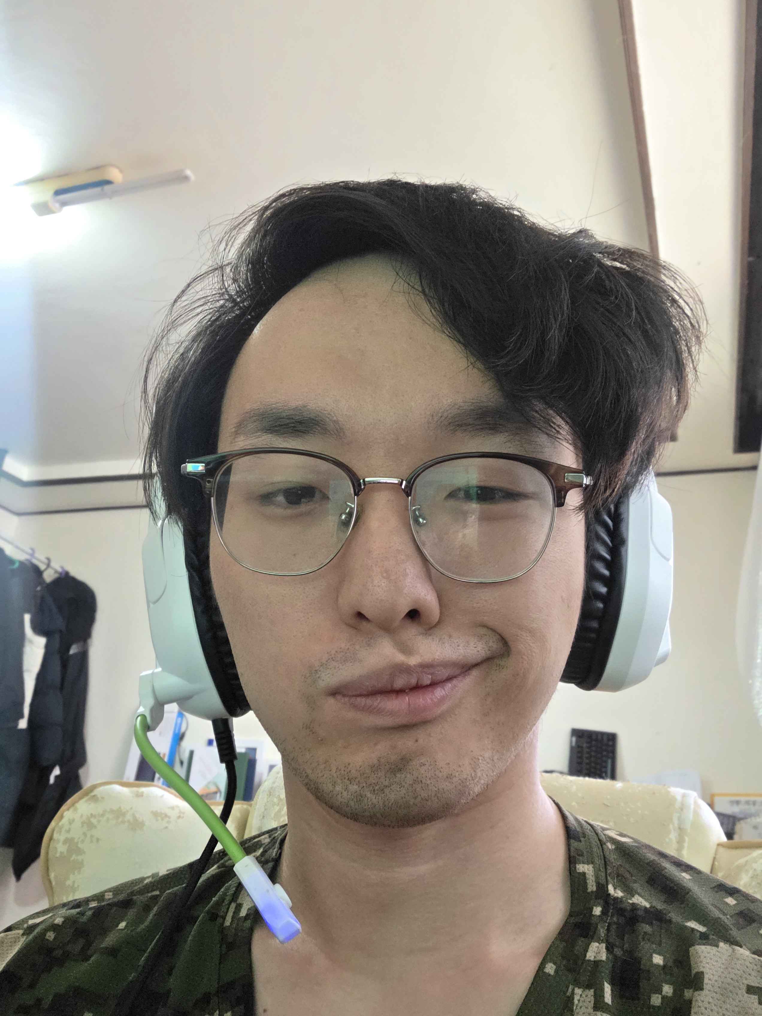 버튜버 한승범1