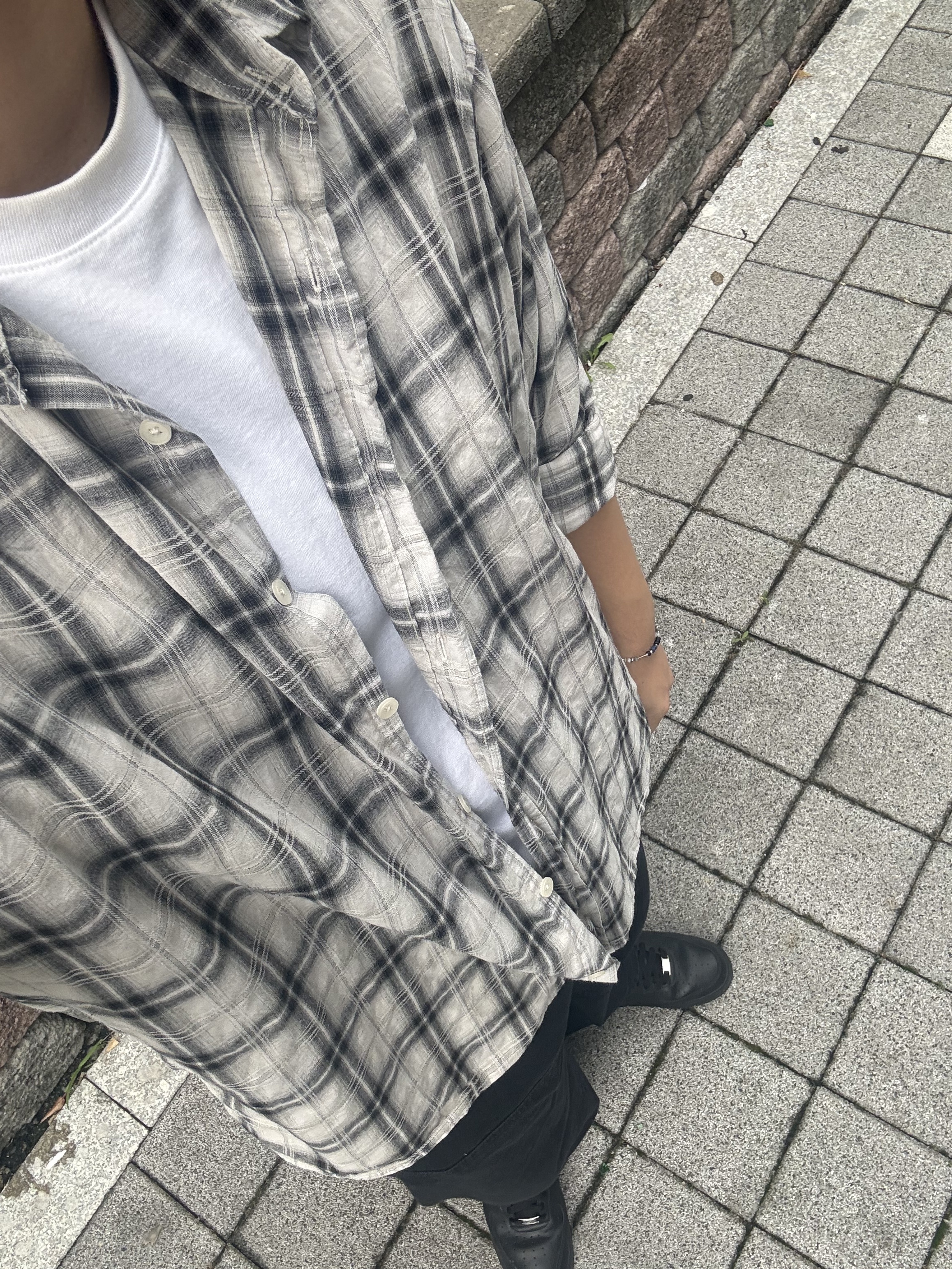 싈버나무늘보