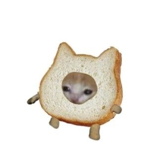 김 오디