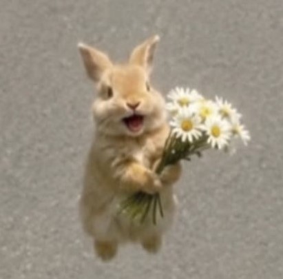 점심이입니다