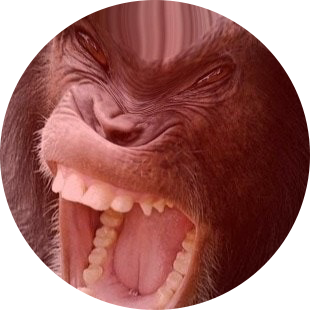 치피갈