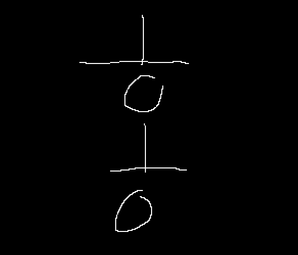 네온홍