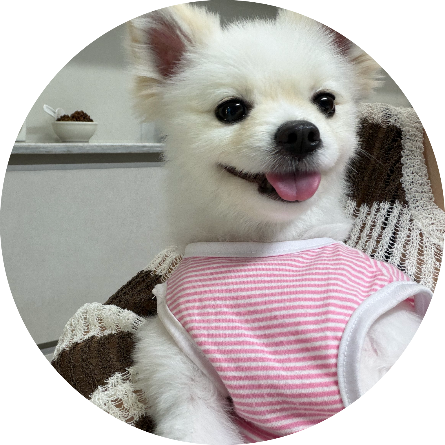 민뗘