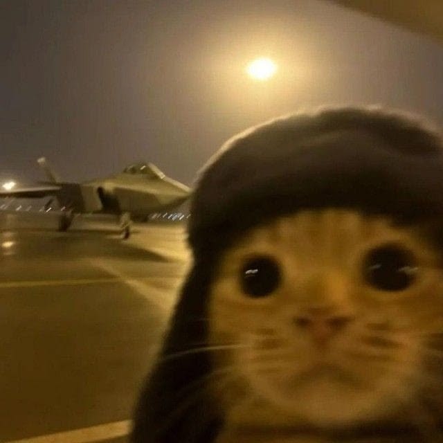 오이냉국 1