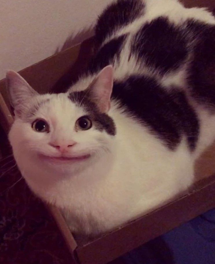 QC큐시