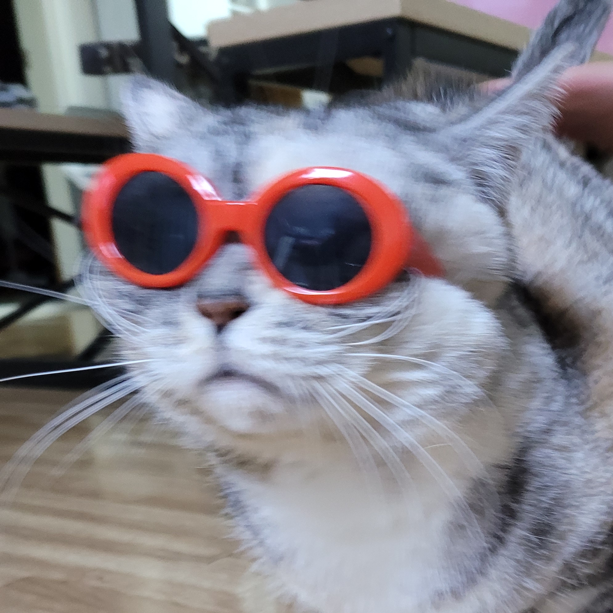 껨스토랑