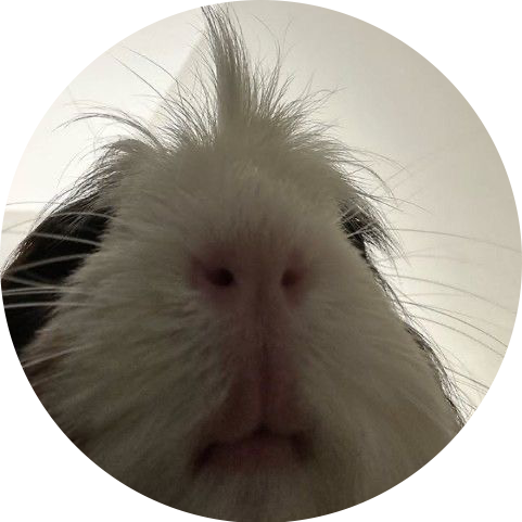 괄사