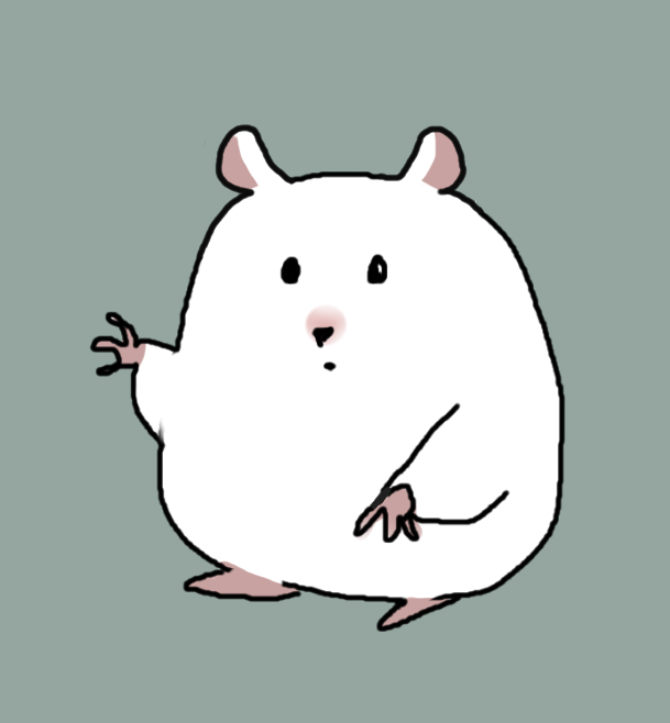 김사빈 KSB