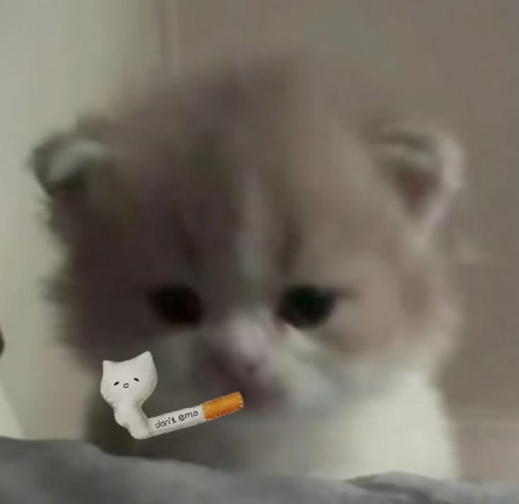 김아무계