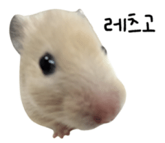 나는 이끼
