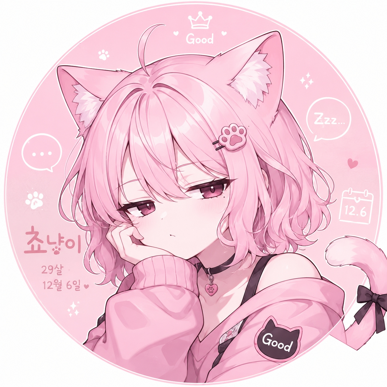 치지직쵸코냥이