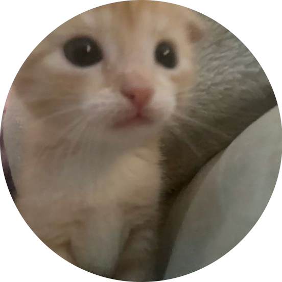 궁딩이야옹