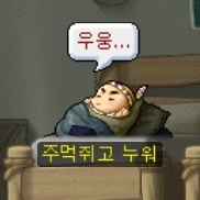 홍희정