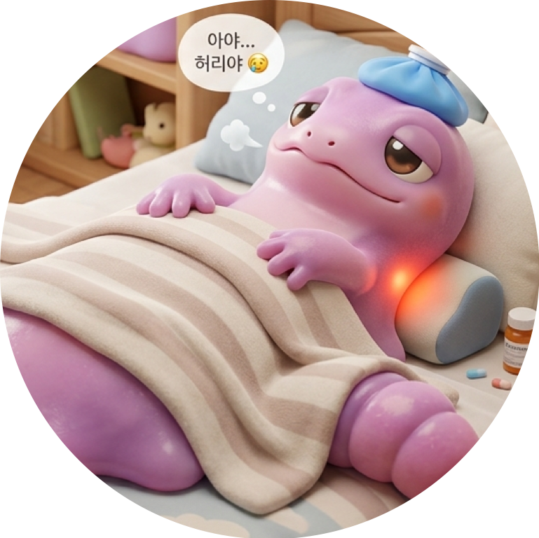 디슼흘러내룡