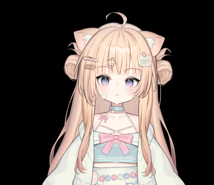 냥이 o