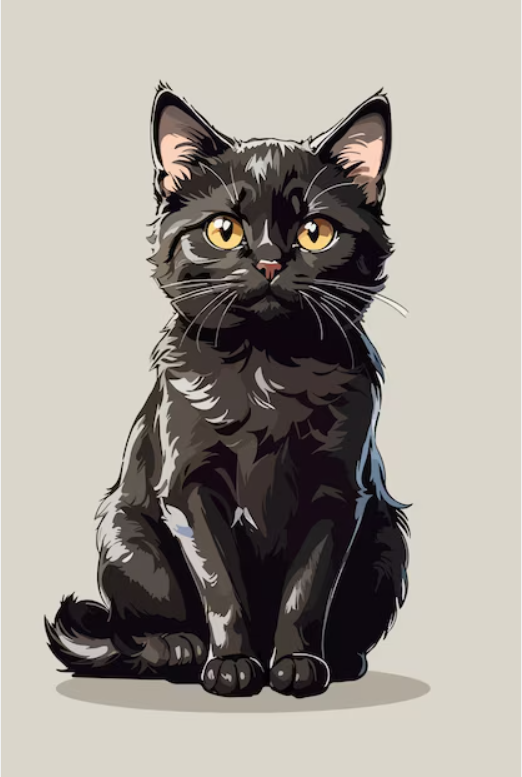 고양이 블랙