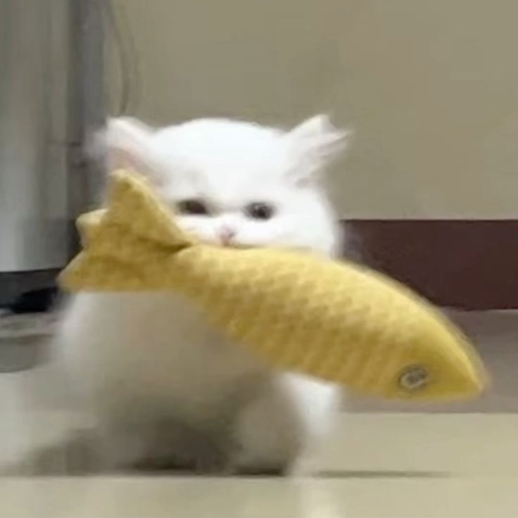 알빠노인데여