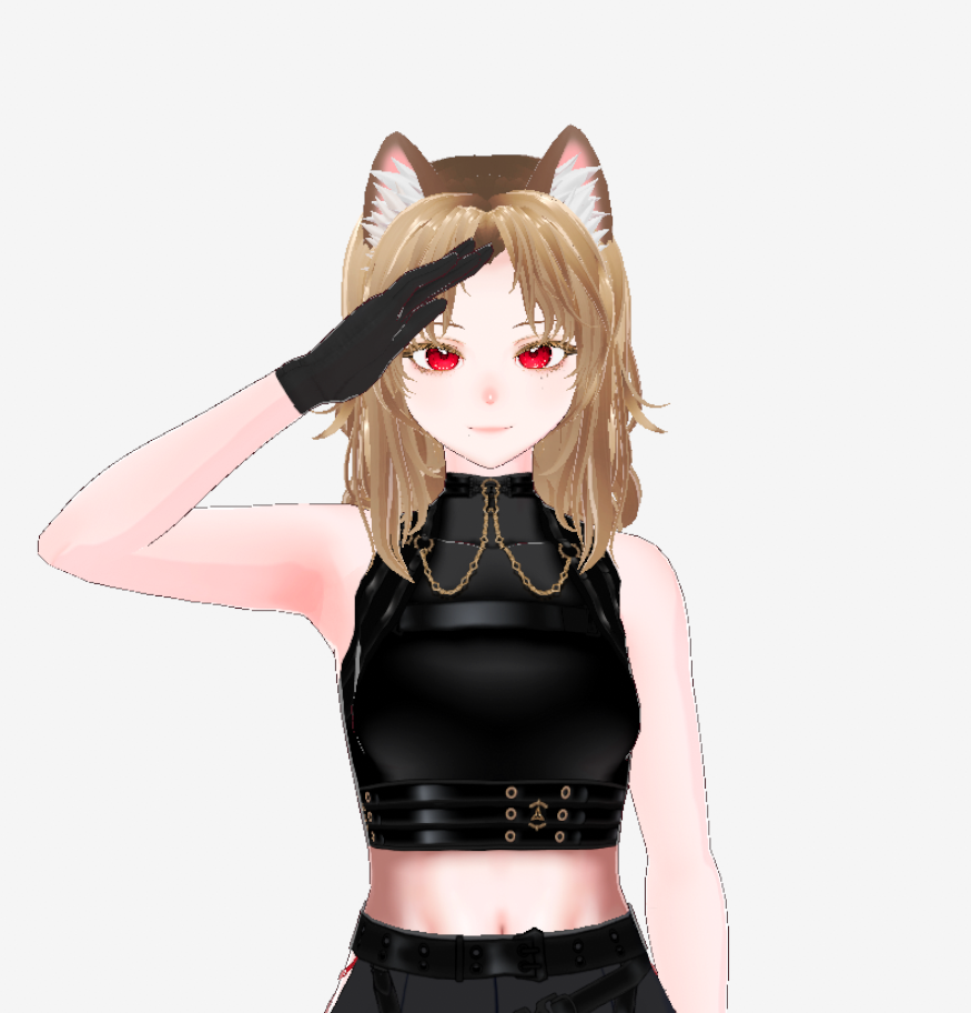 루니 아셀