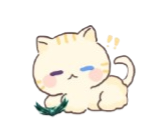 애 또